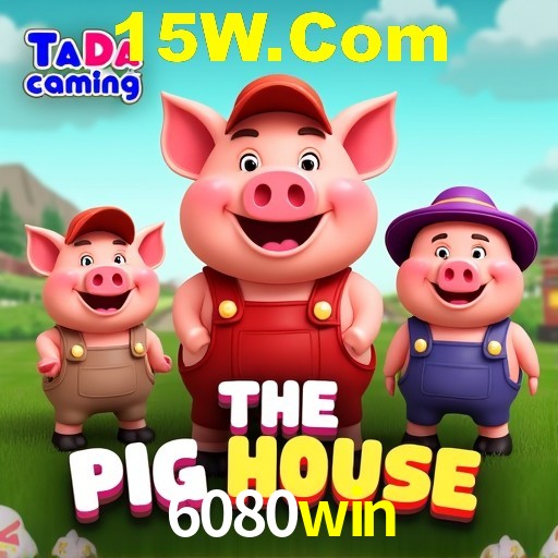 Interface Premium 6080win